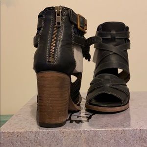 Freebird by Steven Claw